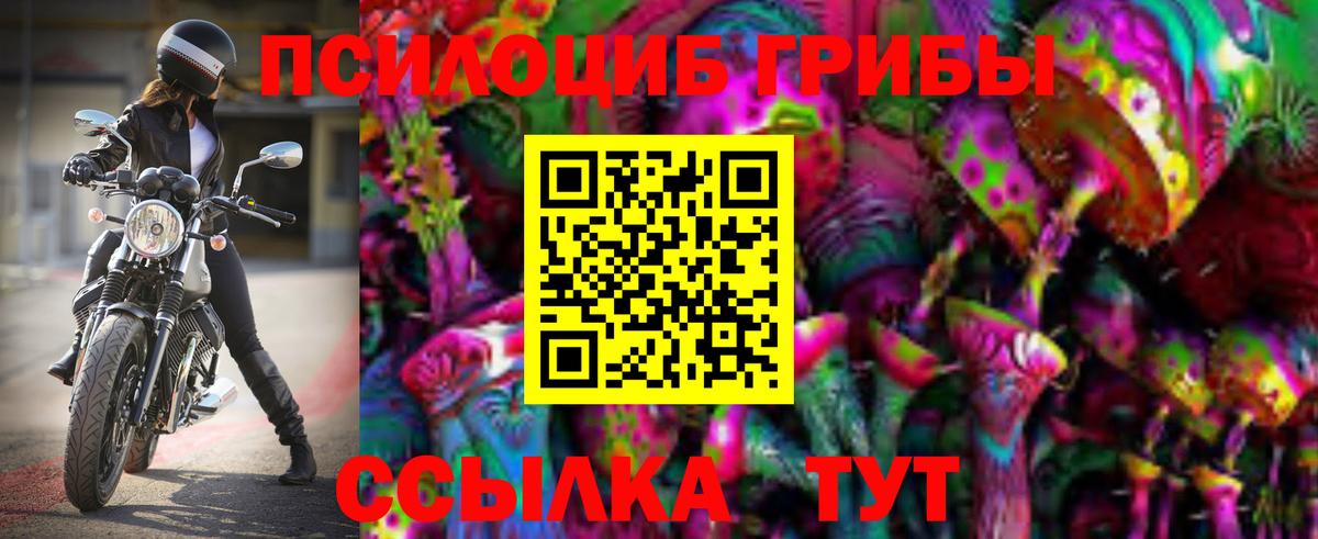 Нефтеюганск  Псилоцибиновые грибы Psilocybe  Вход с VPN 